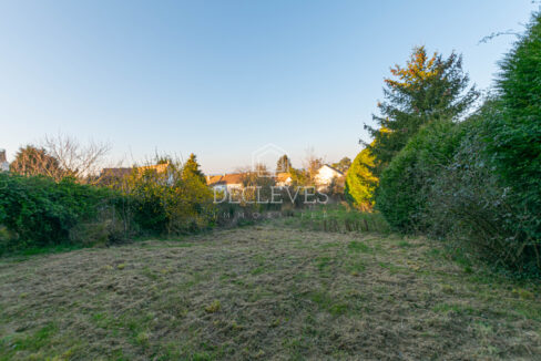 photo_e1d8cfeb0ef9928f387f6ad417d9fb1a