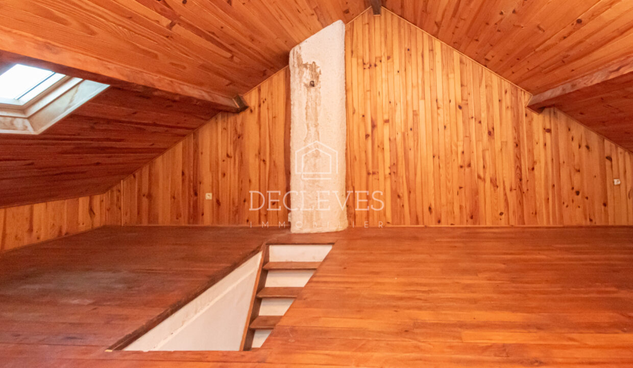 photo_f6eb6bd764c585920bc5a4a91cee543f