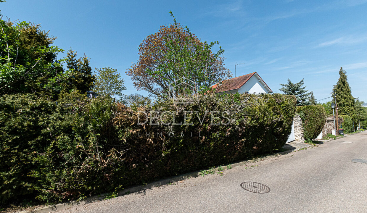 photo_ce5e2de00d76dd4ecdae86b01088aeaa